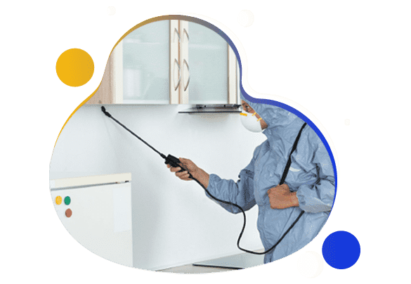 Affordable Pest Control Services